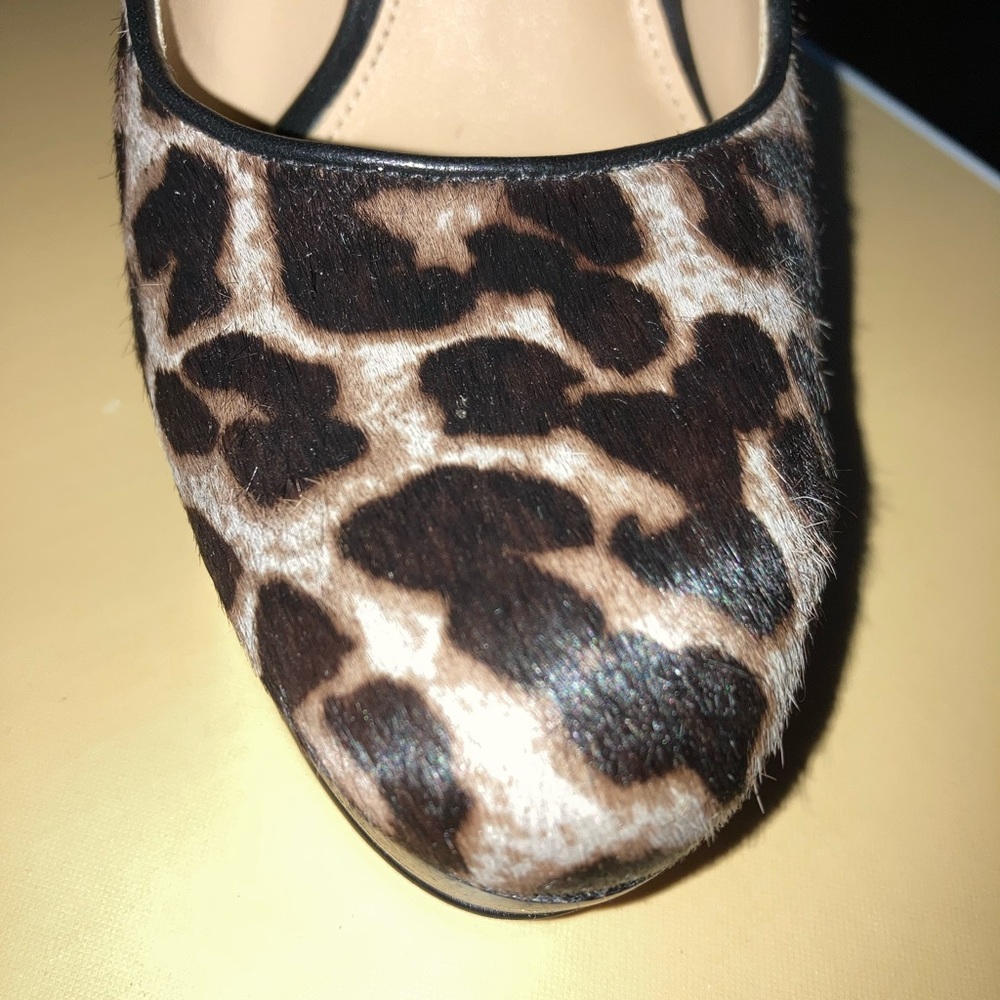 Micheal Kors heals - Picture 13 of 13